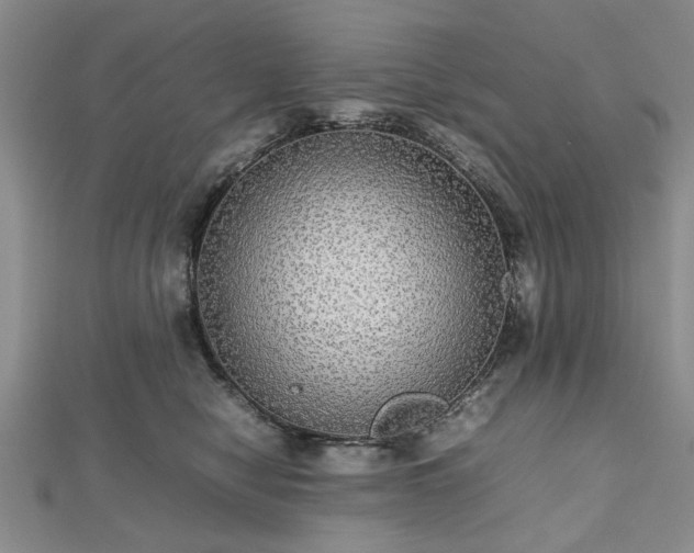 X0000112470470200908241237