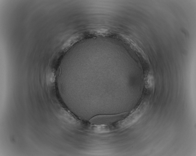 X0000112470472200908241237