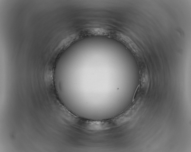 X0000112470473200908241237