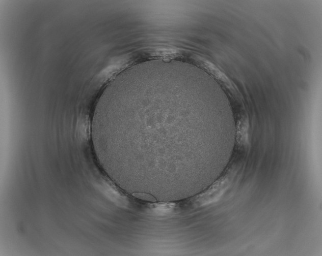 X0000112470474200908241237