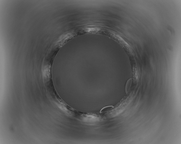 X0000112470475200908241237