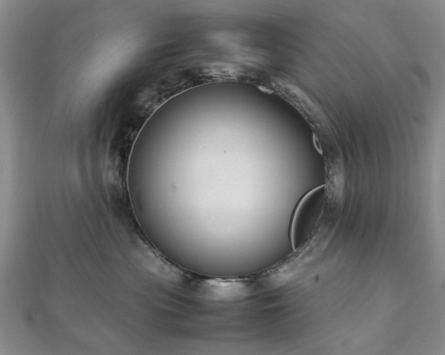 X0000112470477200908241237