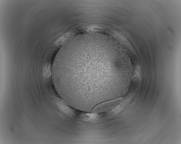 X0000112470478200908241237