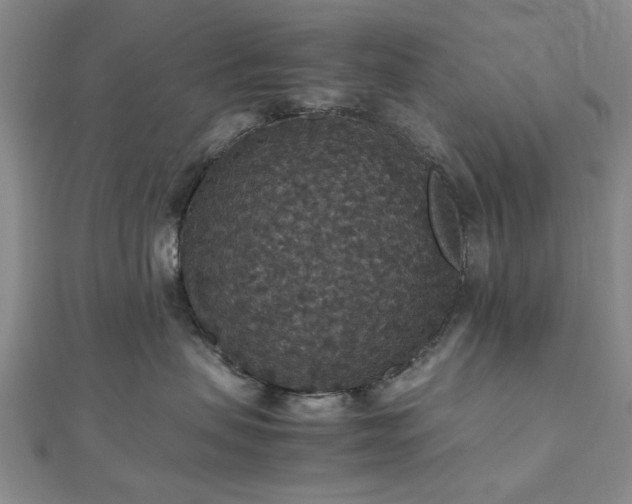 X0000112470479200908241237