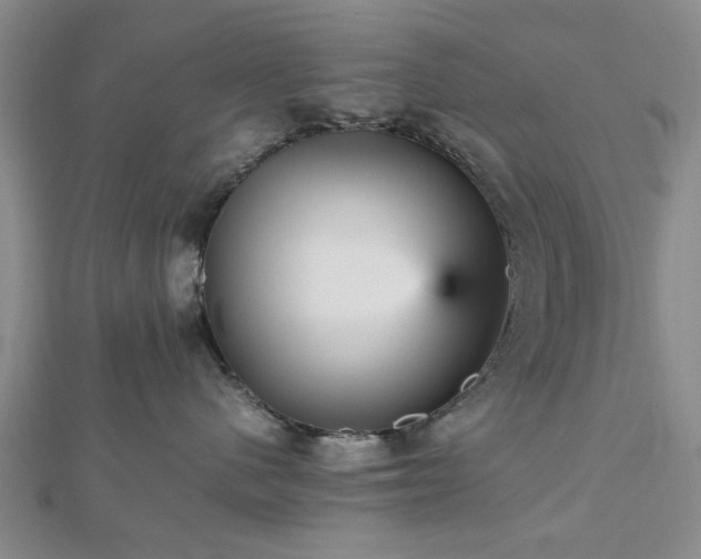 X0000112470480200908241237