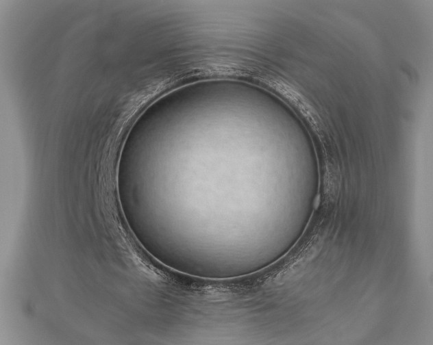 X0000112470481200908241236