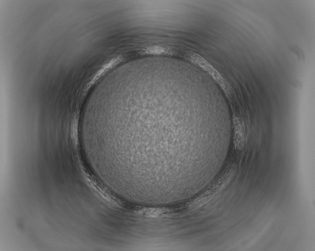 X0000112470482200908241236