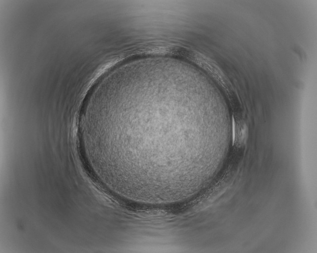 X0000112470483200908241236