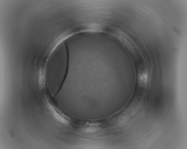 X0000112470484200908241236