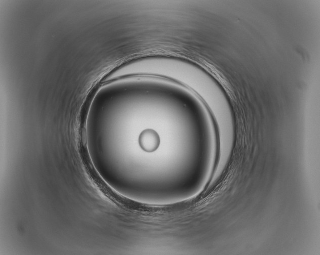 X0000112470485200908241236