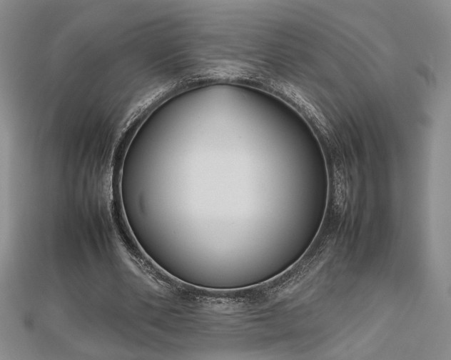 X0000112470486200908241236