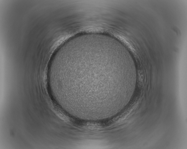 X0000112470487200908241236