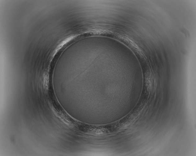 X0000112470488200908241236