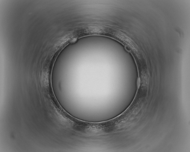 X0000112470489200908241236