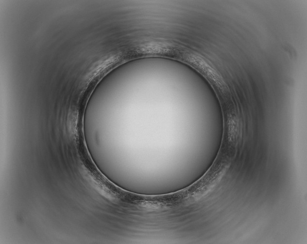 X0000112470490200908241236