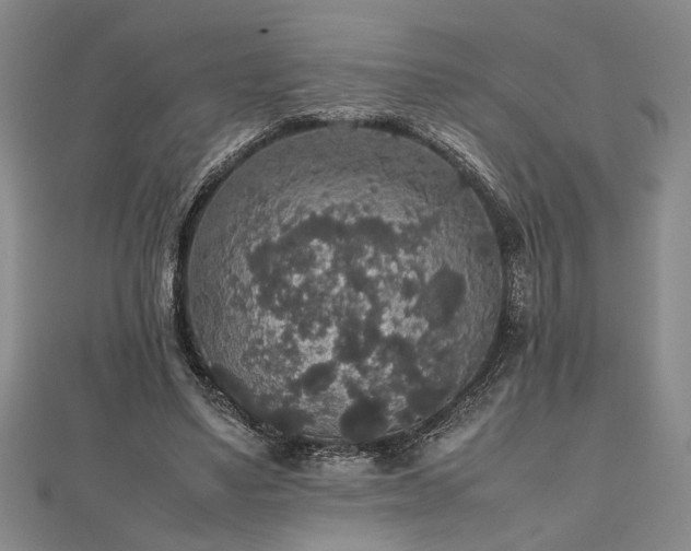 X0000112470491200908241236