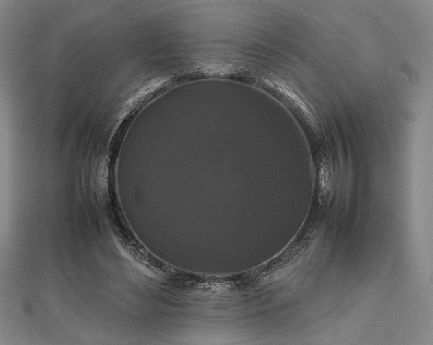 X0000112470492200908241236