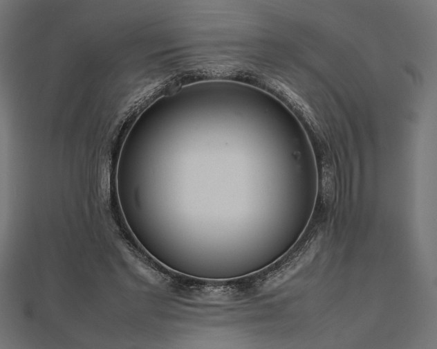 X0000112470493200908241236