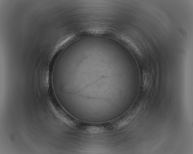 X0000112470494200908241236