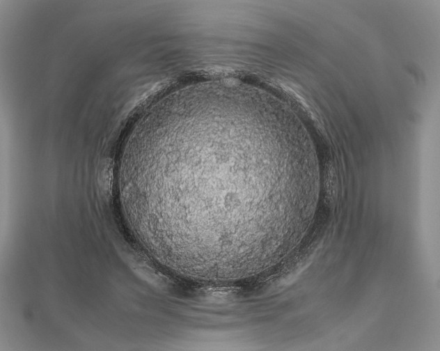 X0000112470495200908241236