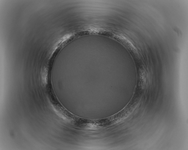 X0000112470496200908241236