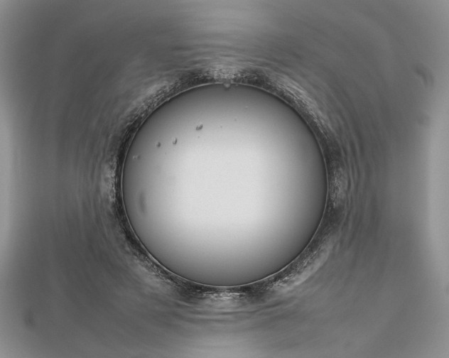 X0000112470497200908241236