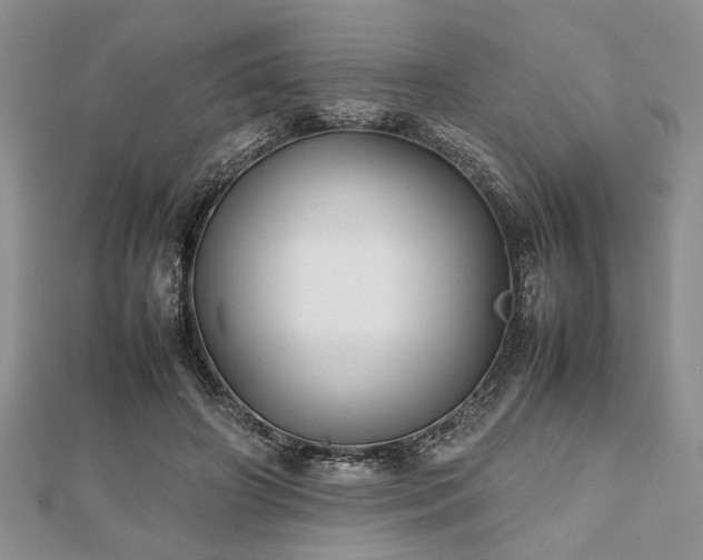 X0000112470498200908241236