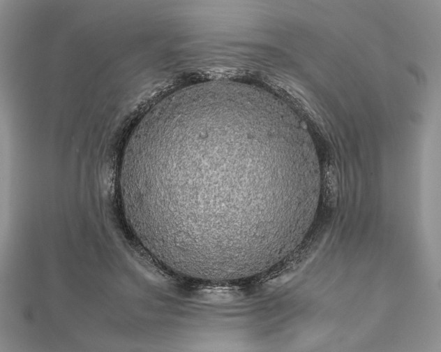 X0000112470499200908241236