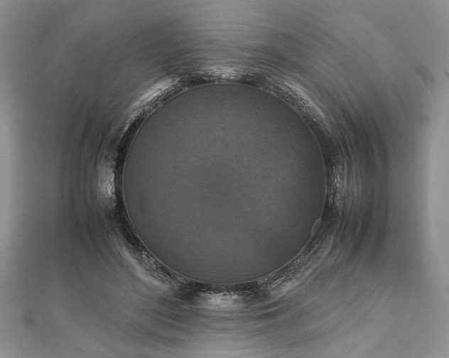 X0000112470500200908241236