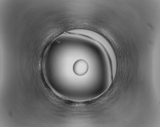 X0000112470501200908241236