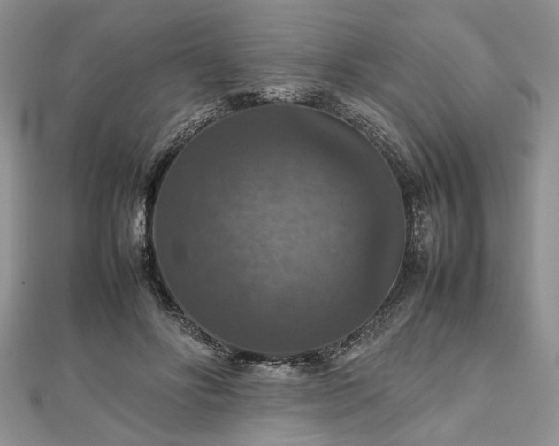 X0000112470502200908241236