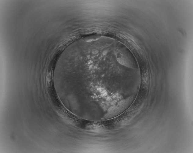 X0000112470503200908241236