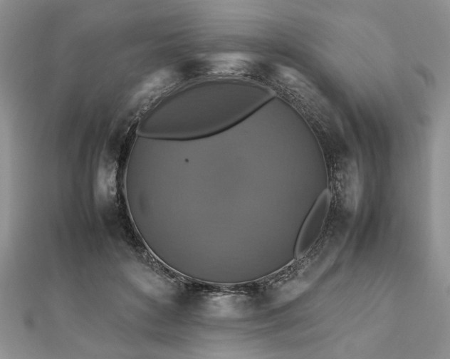 X0000112470504200908241236