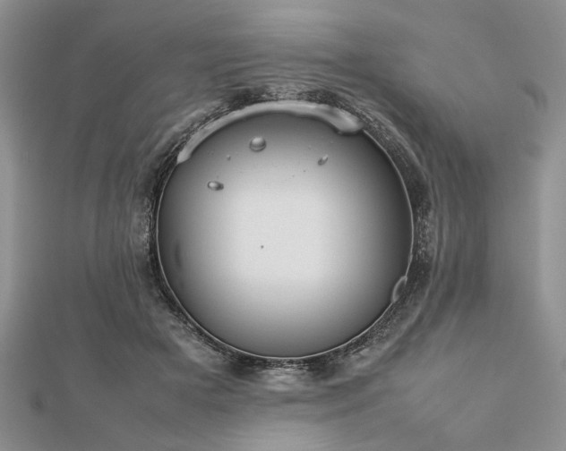 X0000112470505200908241236