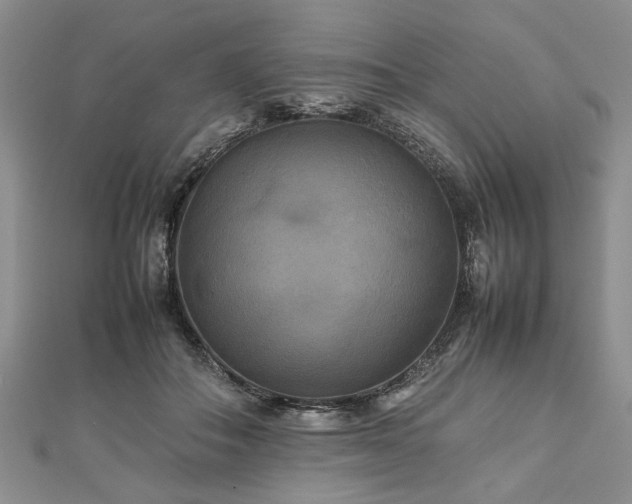 X0000112470506200908241236