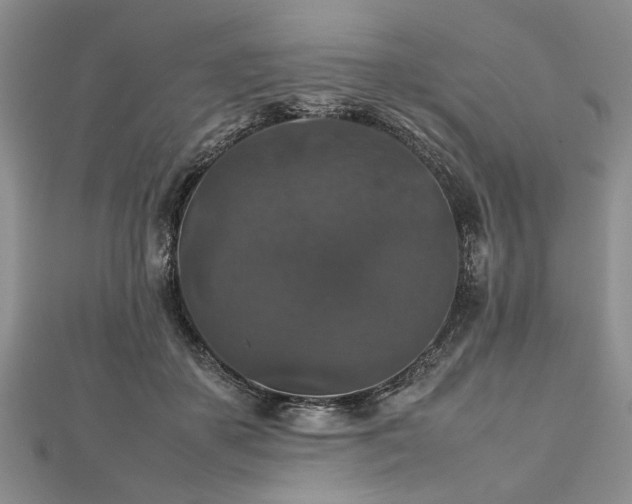 X0000112470507200908241236