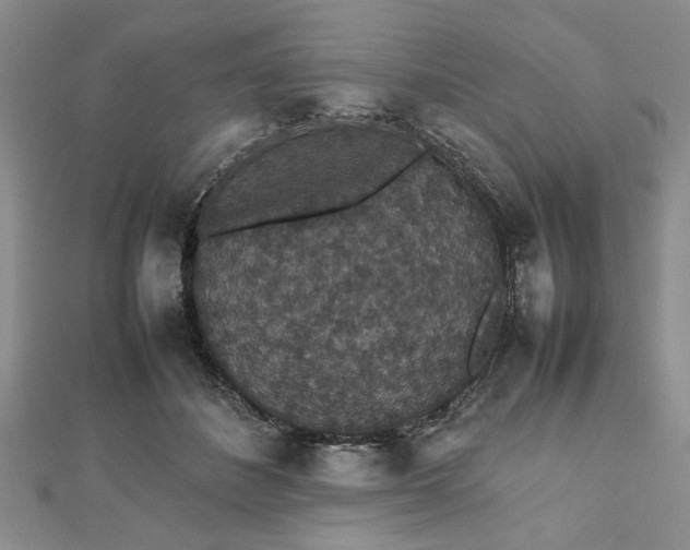 X0000112470508200908241236