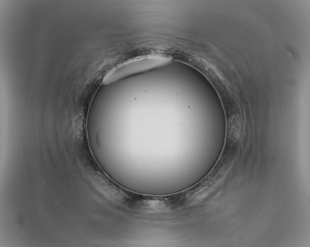 X0000112470509200908241236