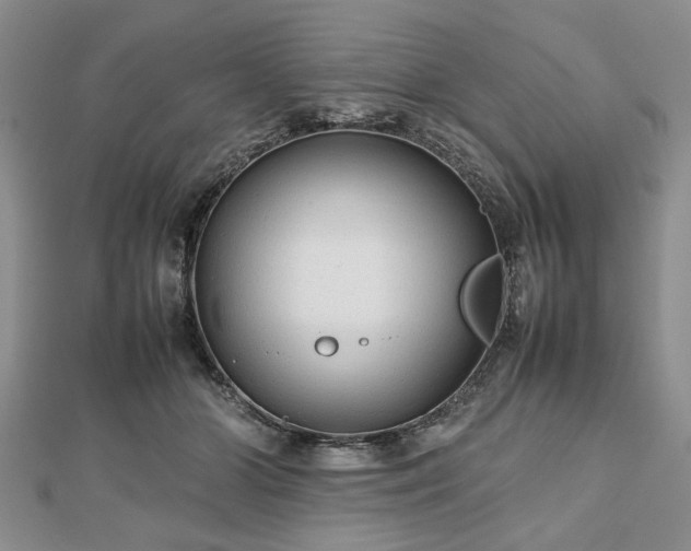 X0000112470510200908241236