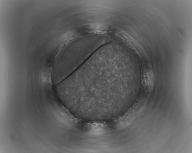 X0000112470512200908241236