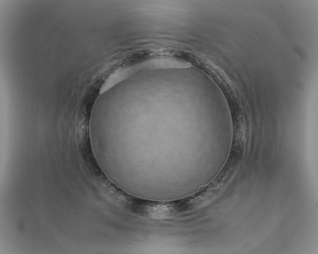 X0000112470513200908241236