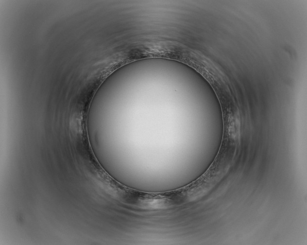 X0000112470514200908241236