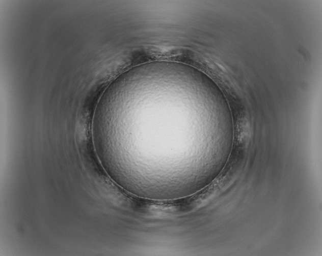 X0000112470515200908241236