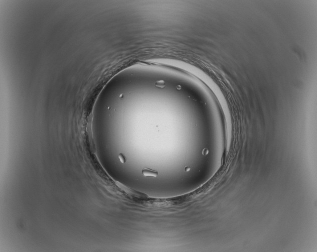 X0000112470517200908241235