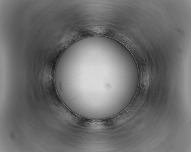 X0000112470518200908241235