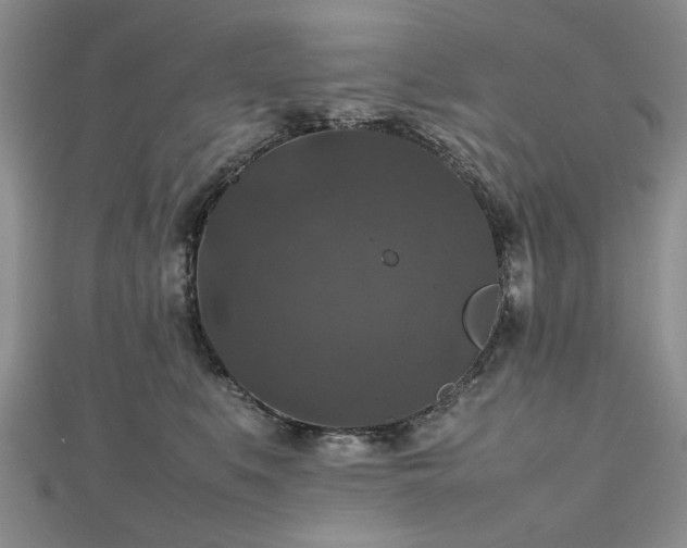 X0000112470519200908241235