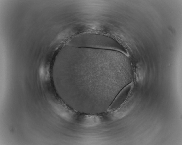 X0000112470520200908241235