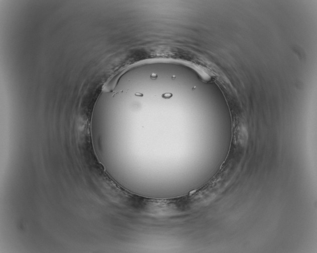 X0000112470521200908241235