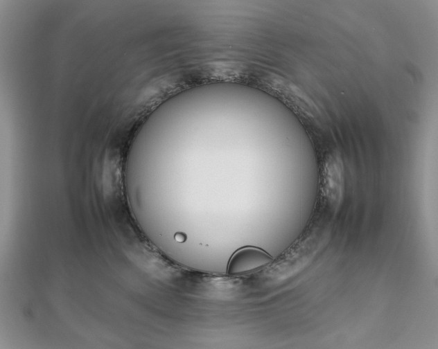 X0000112470522200908241235