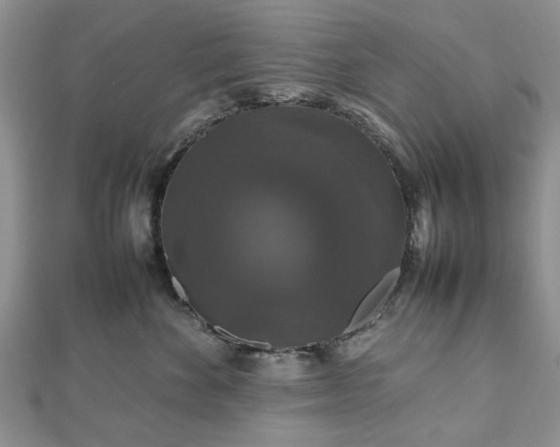 X0000112470524200908241235